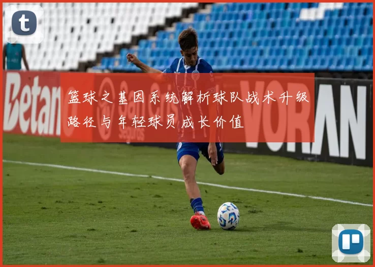 篮球之基因系统解析球队战术升级路径与年轻球员成长价值