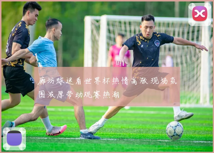 廊坊球迷看世界杯热情高涨 现场氛围浓厚带动观赛热潮