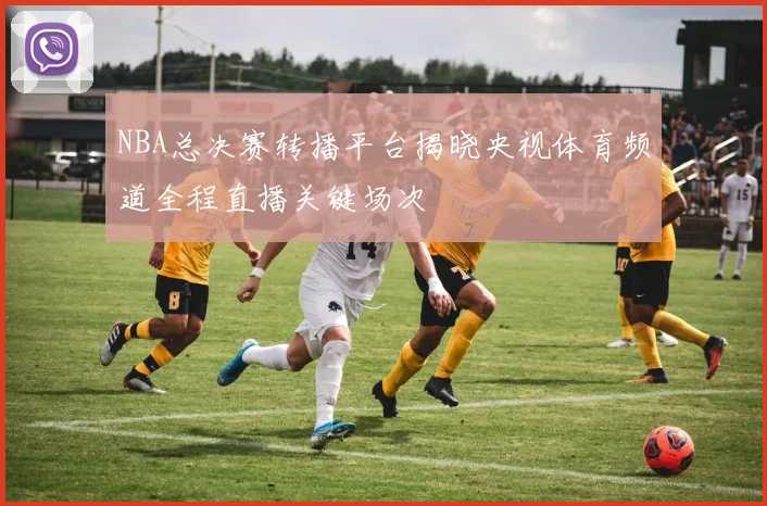 NBA总决赛转播平台揭晓央视体育频道全程直播关键场次